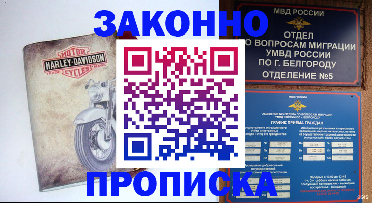 прописка для школы в Туле